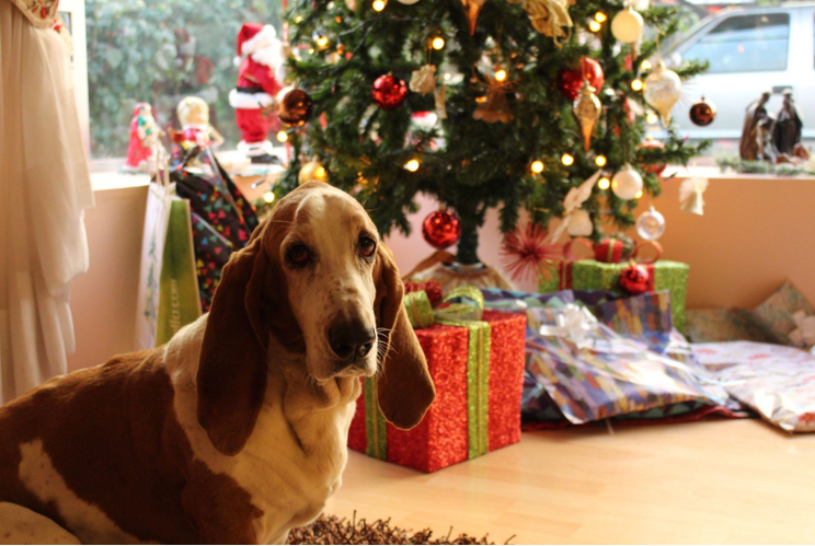 Choosing the Right Christmas Tree: 9ft vs. 6ft Pre-Lit